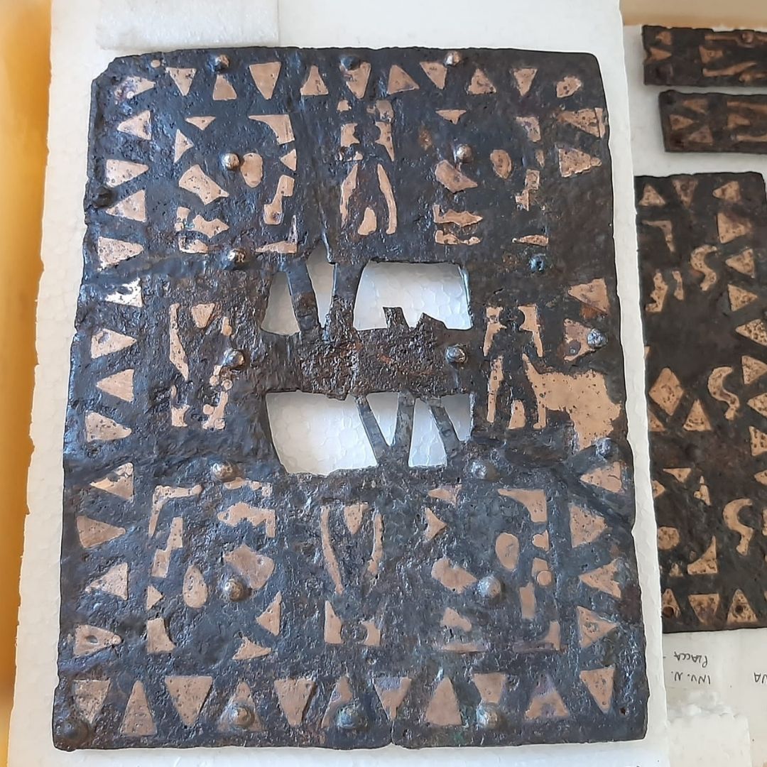 #PrendiamocicuradelMANMarche7